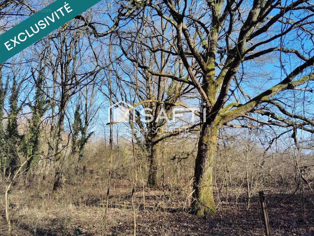 Photo 3 - Terrain à MANOM