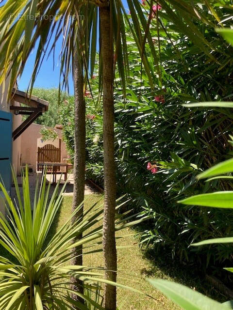 Maison à CANET-EN-ROUSSILLON