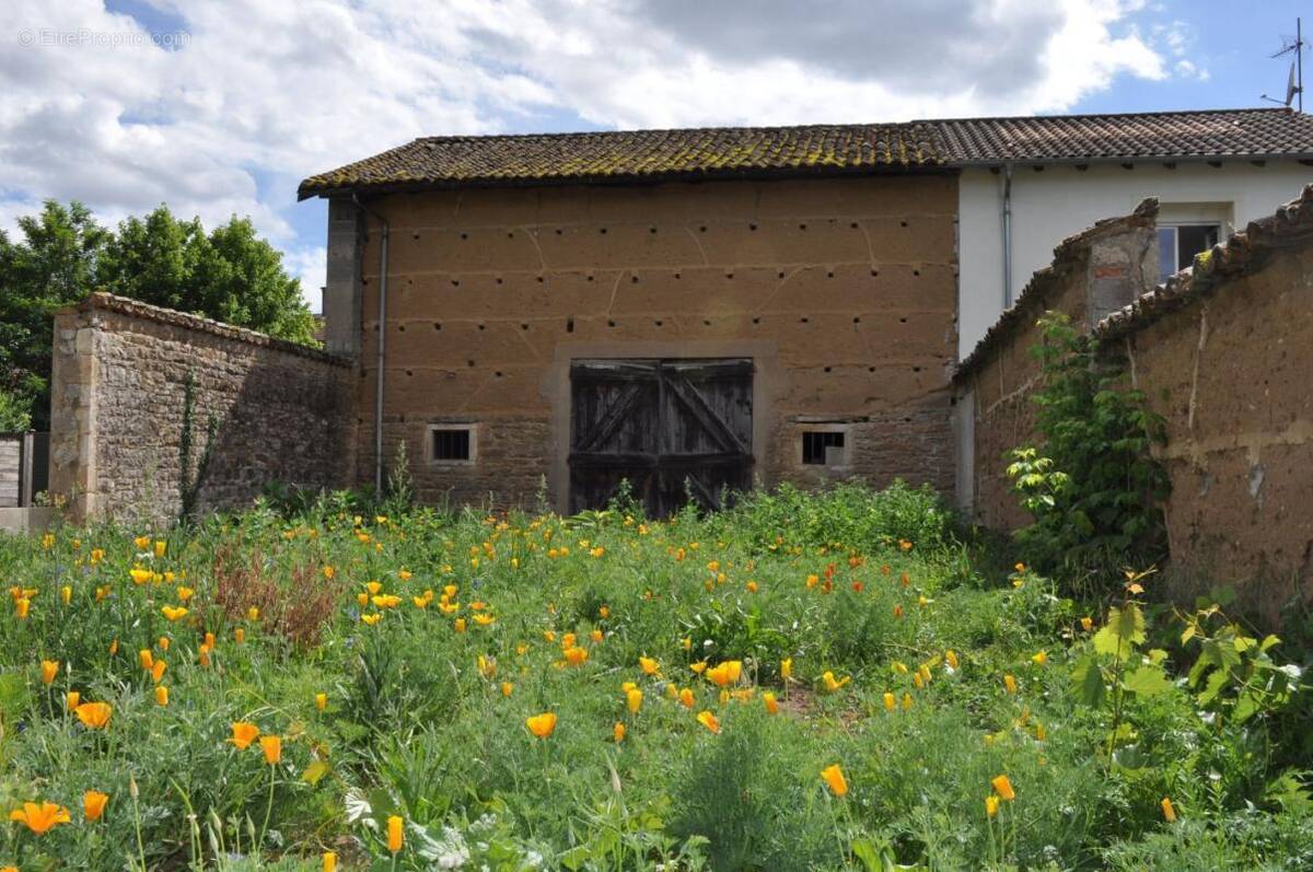 Maison à MONTMERLE-SUR-SAONE