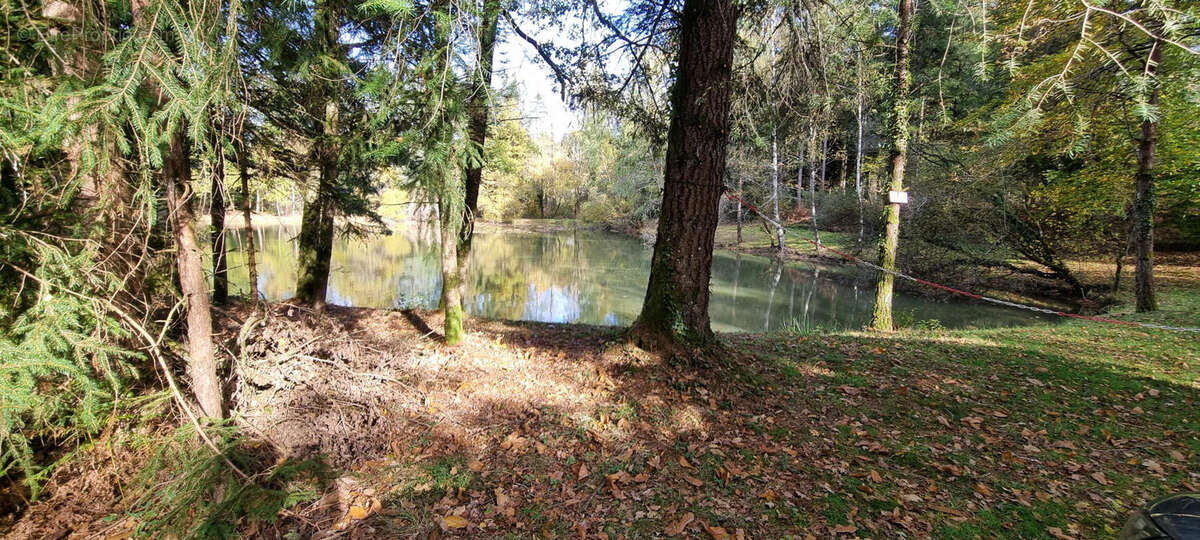 20251105_142706 - Terrain à PIEGUT-PLUVIERS