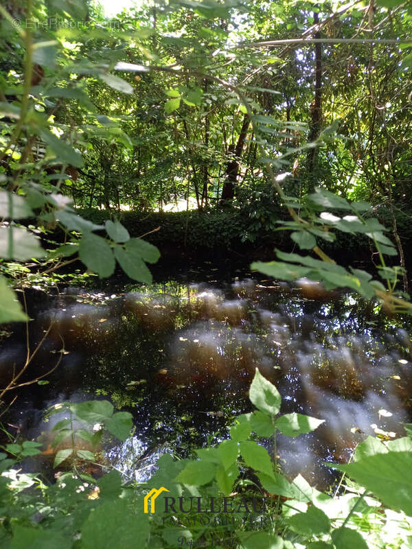 Maison à SAINT-CHRISTOLY-DE-BLAYE