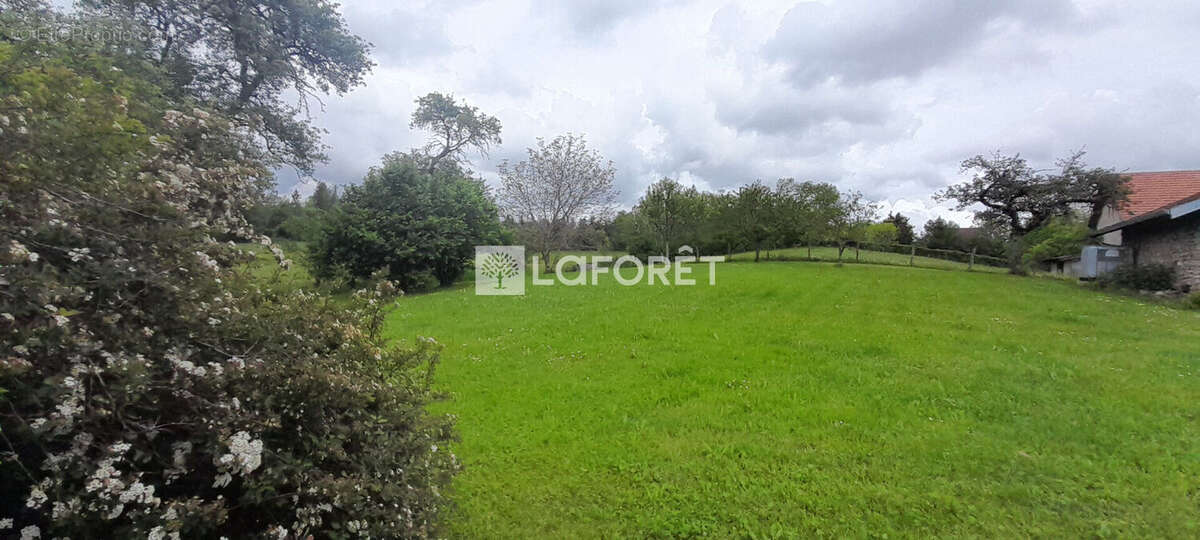 Maison à LABERGEMENT-DU-NAVOIS