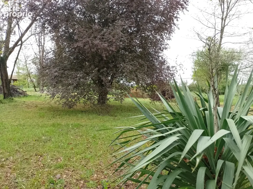 Terrain 1 767 m² à vendre à Mondavezan (31220) - photo 4
