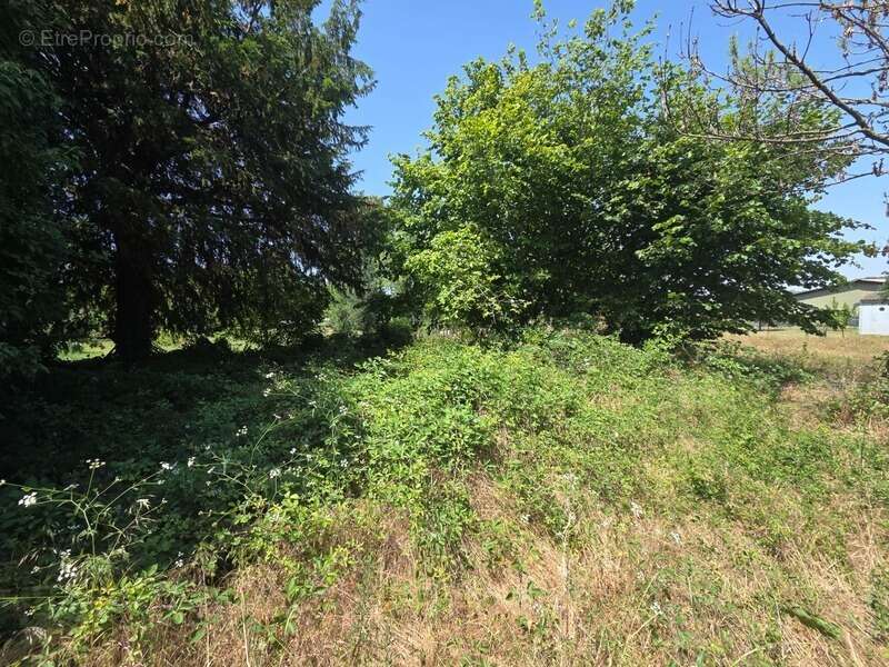 *** exclusivite *** grange et terrain *** reignat 63160 *** - photo 6