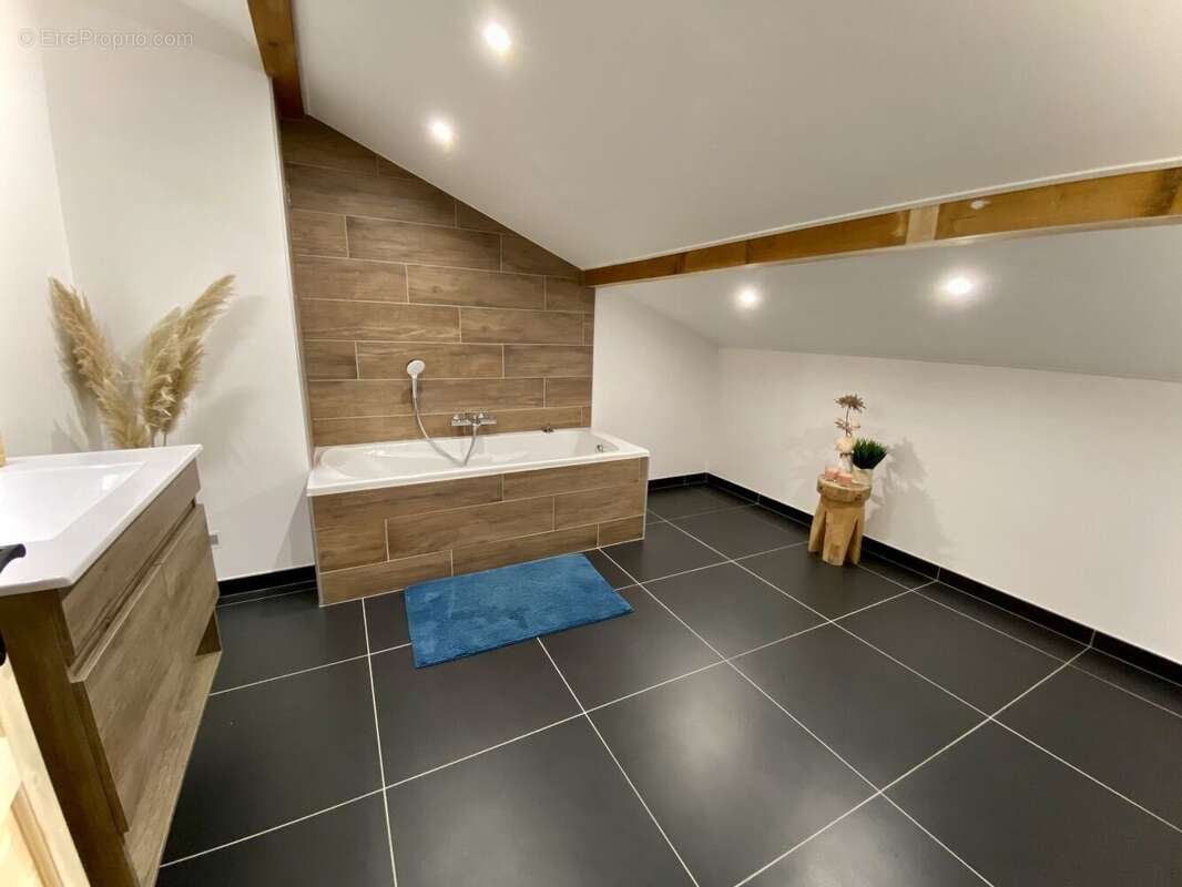 Maison à SAINT-PAUL-EN-CHABLAIS