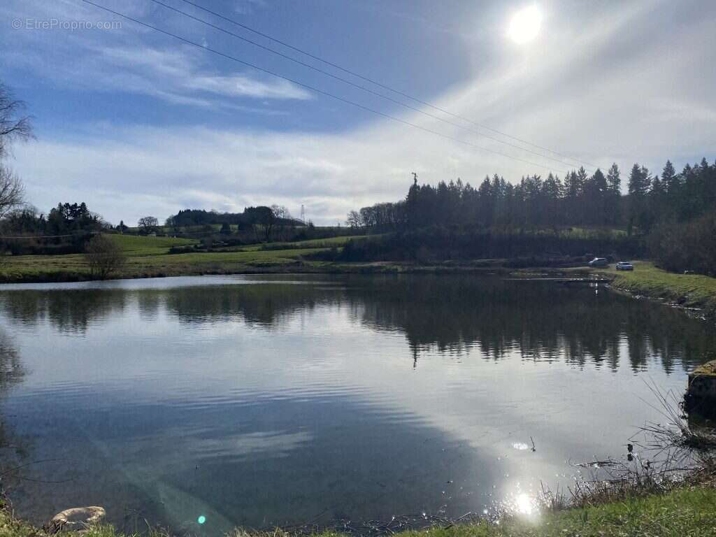 Terrain à NEUVIC-ENTIER