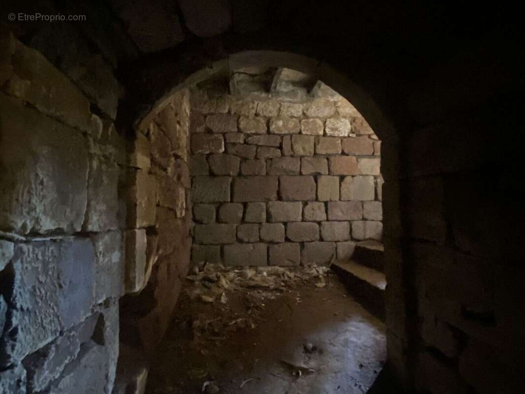 IMG2862 - Maison à LA CASSAGNE
