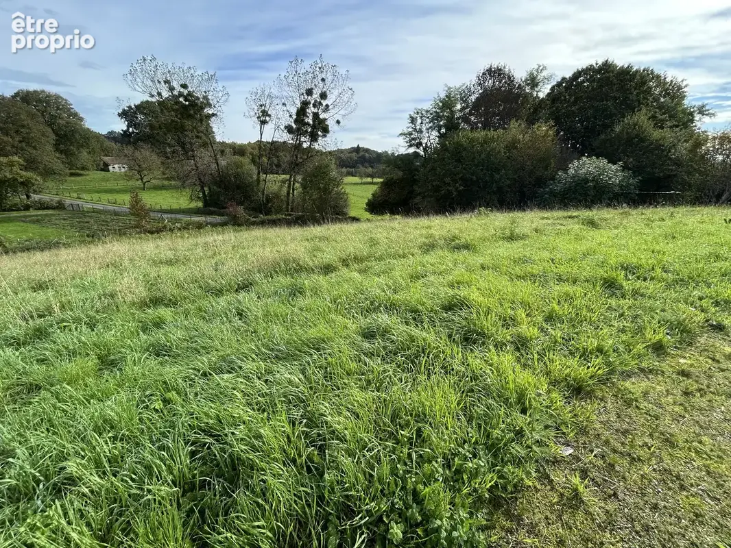 Terrain à Lagraulière en Corrèze - photo 2