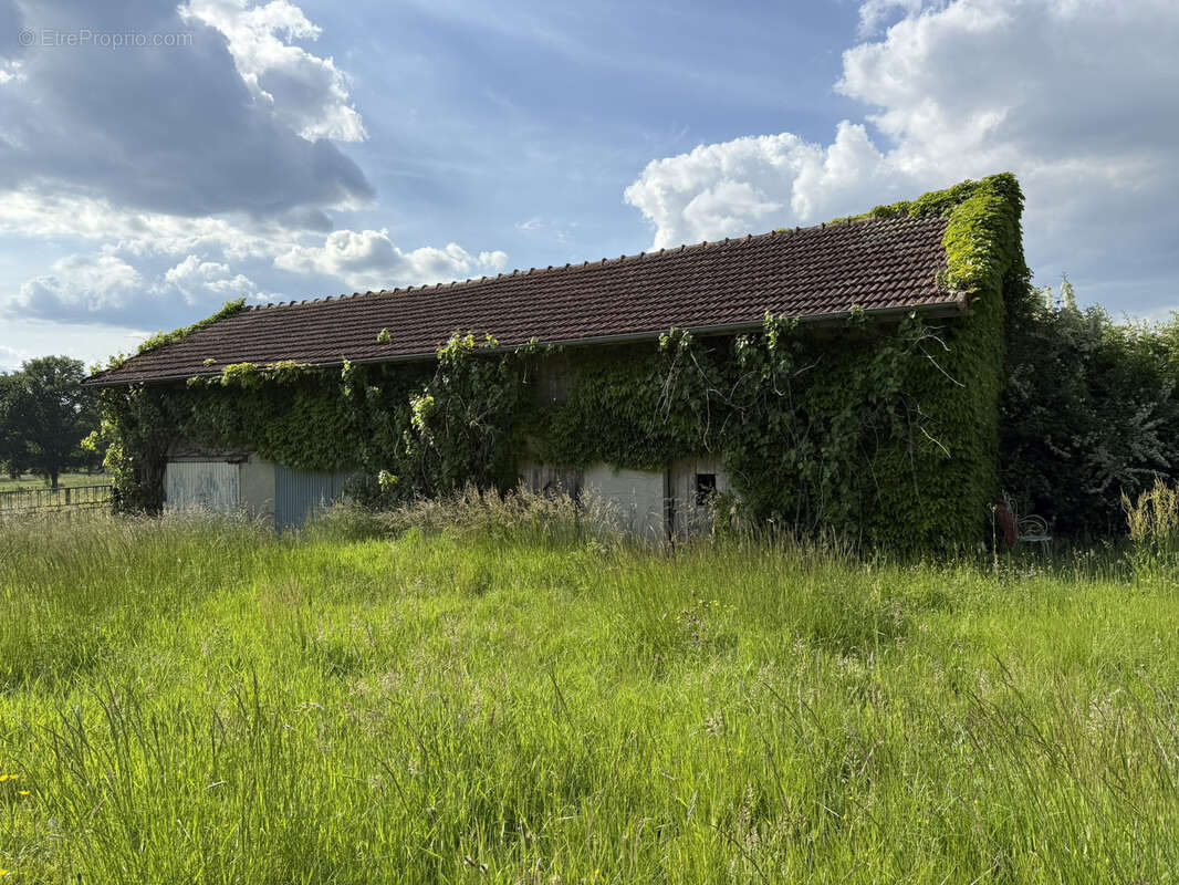 Maison à LA VENDUE-MIGNOT