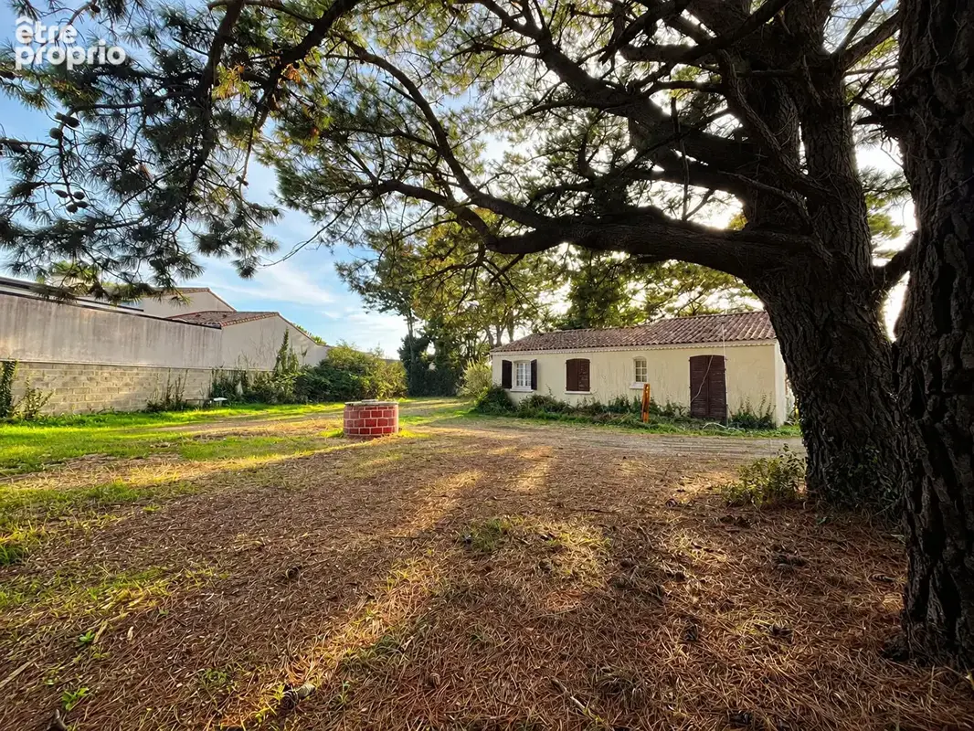 Maison de plain-pied sur un grand terrain - photo 1