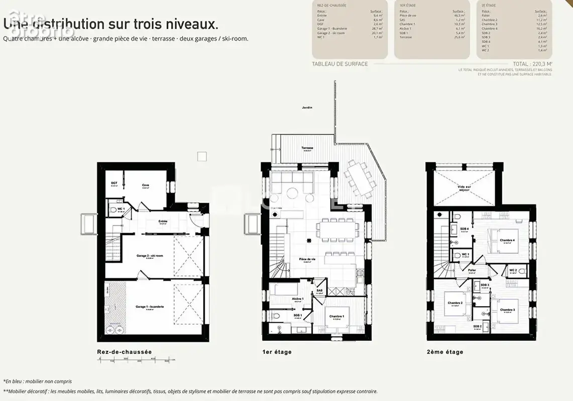 73210 PEISEY-NANCROIX Superbe chalet150m², terrasse, garages et jardin - photo 3