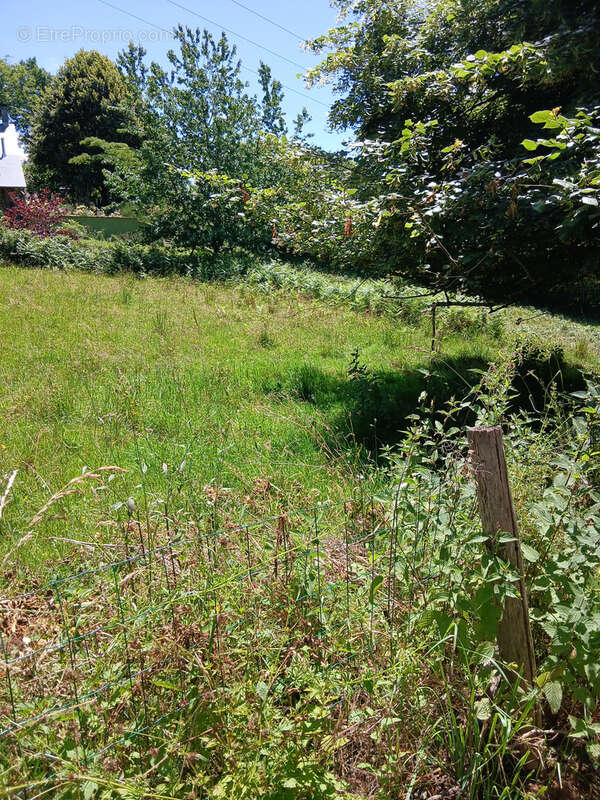 Maison à flanc de colline avec plus d'un hectare de terrain - photo 2