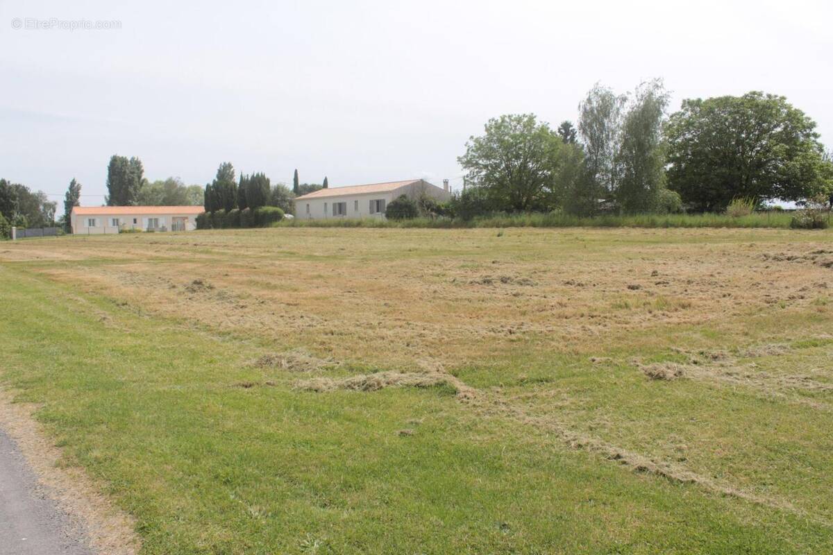 Photo 1 - Terrain à BOIS