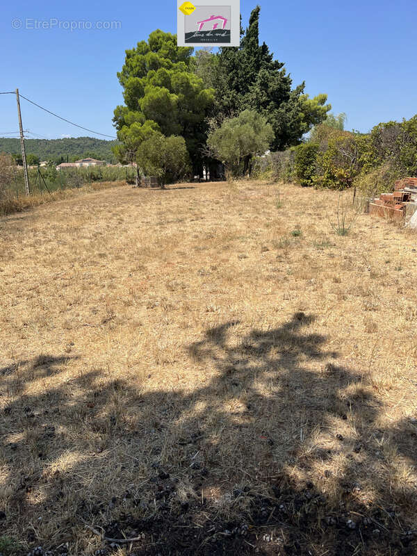 Maison de plain-pied de 139 m2 avec piscine sur une parcelle constructible de 2 710 m2 - photo 12