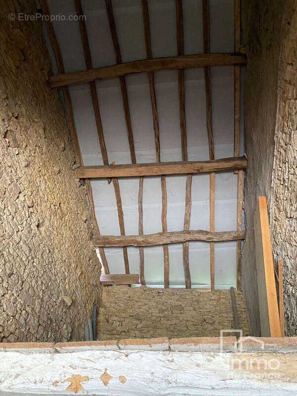Maison à MONTAGNA-LE-TEMPLIER