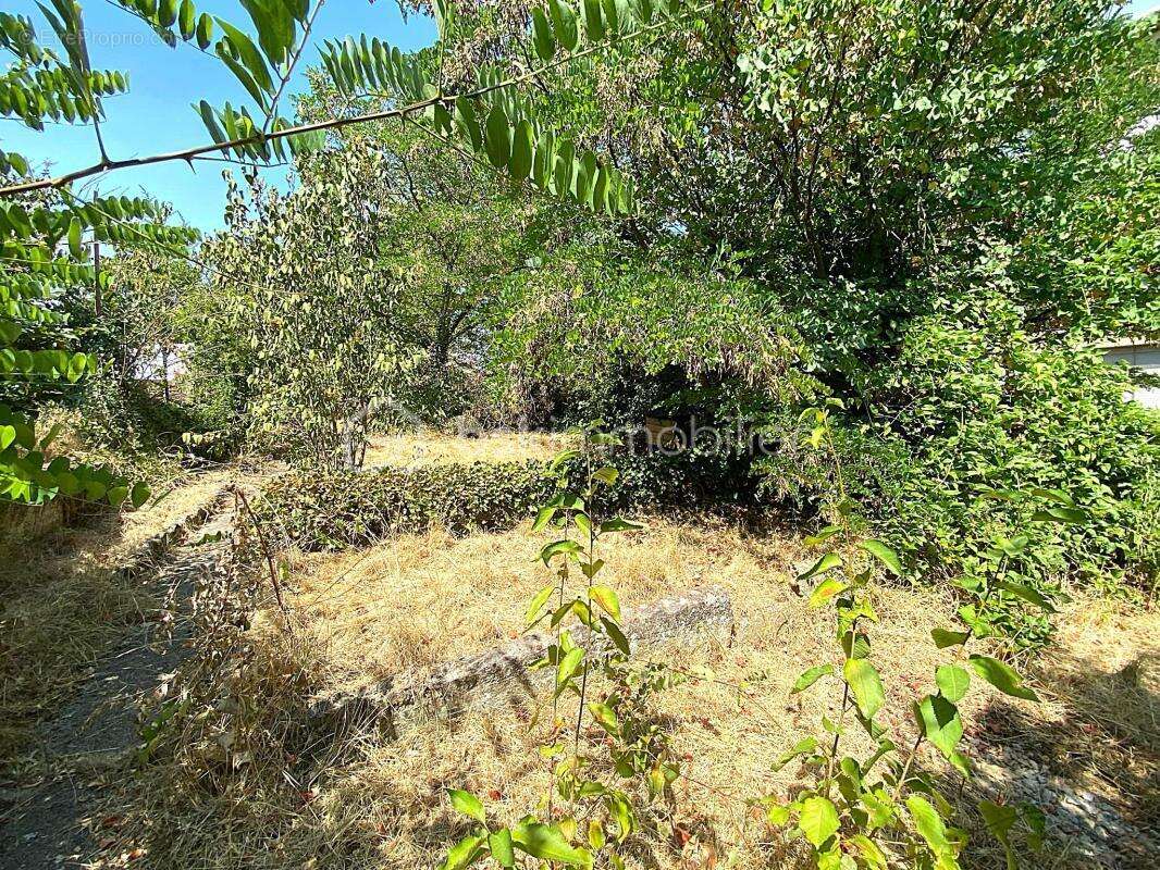 Millau – t3 rénové avec jardin privatif et 42 m² de dépendances - photo 8
