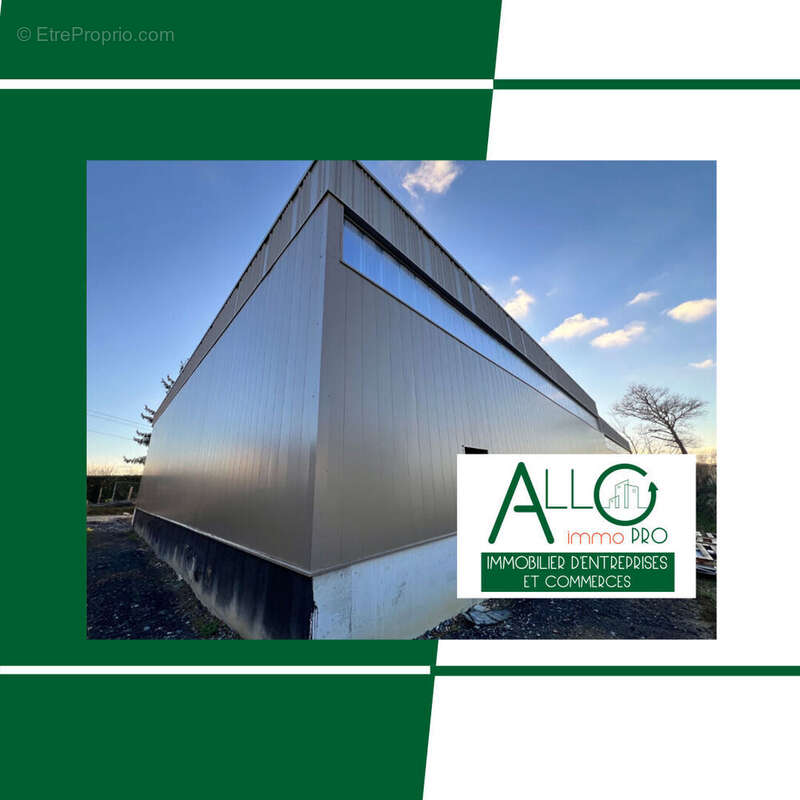 Commerce à USTARITZ