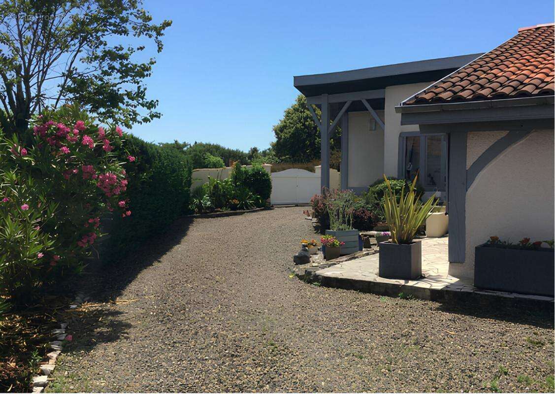 Maison Landaise entièrement rénovée avec Piscine - Proche de DAX et SOUSTONS - photo 12