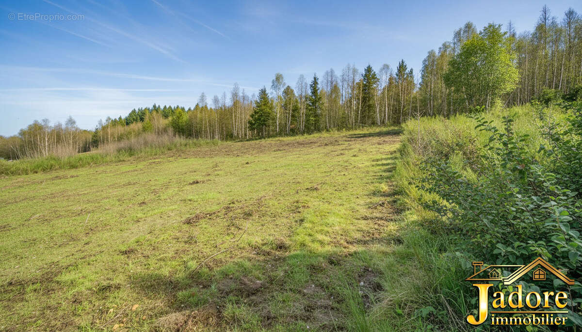 Terrain à SAULCY-SUR-MEURTHE