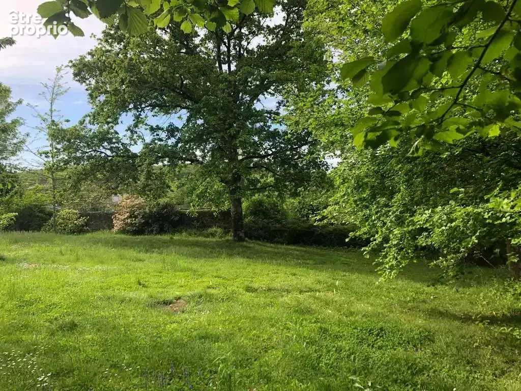 Maison de caractère de 225 m² avec parc arboré de 3000 m² - proche de Montmorillon - photo 15