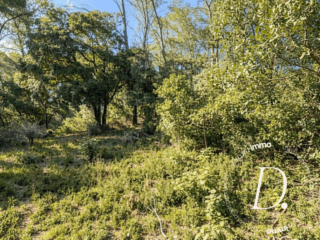 Terrain à SAINT-GILLES