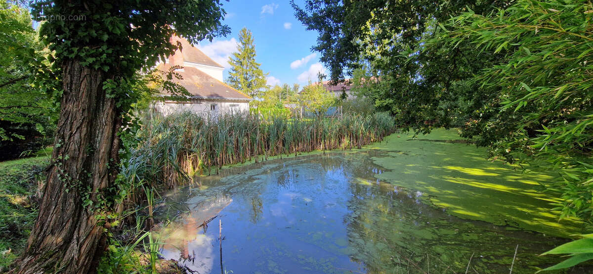 Maison à CHAVEIGNES