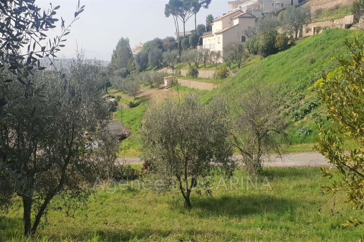 Terrain à LE CANNET