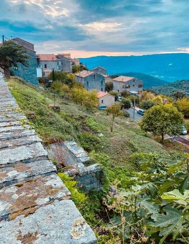 Terrain à SOLLACARO