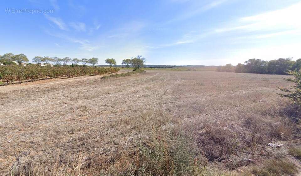 Terrain à ALIGNAN-DU-VENT