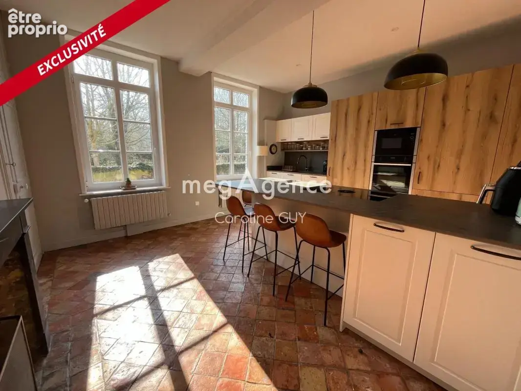 Maison de maître, 267 m2, 5 chambres, jardin et garages - photo 3