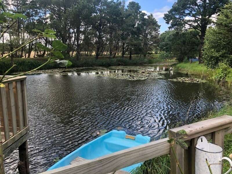 Terrain à TALMONT-SAINT-HILAIRE