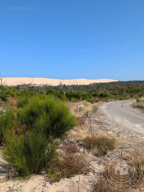 Maison à LE BOUSCAT