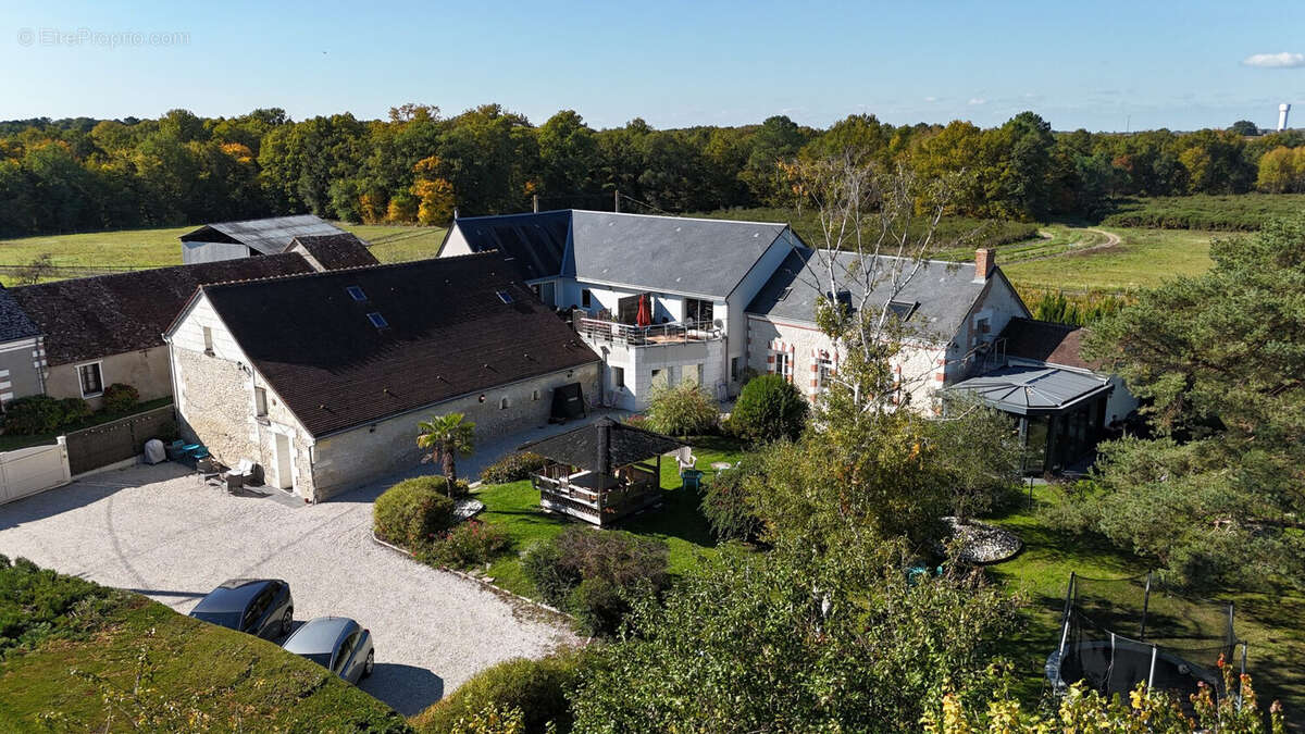 Maison 402 m² à Saint-Georges-Sur-Cher  - photo 3