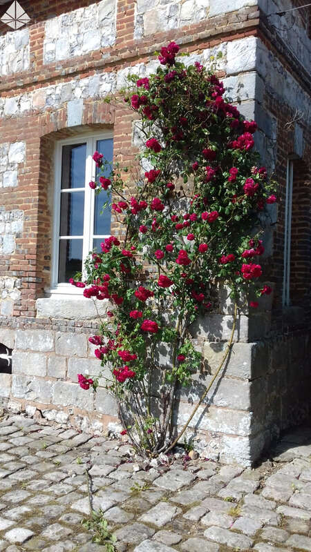 Maison à DOUDEVILLE