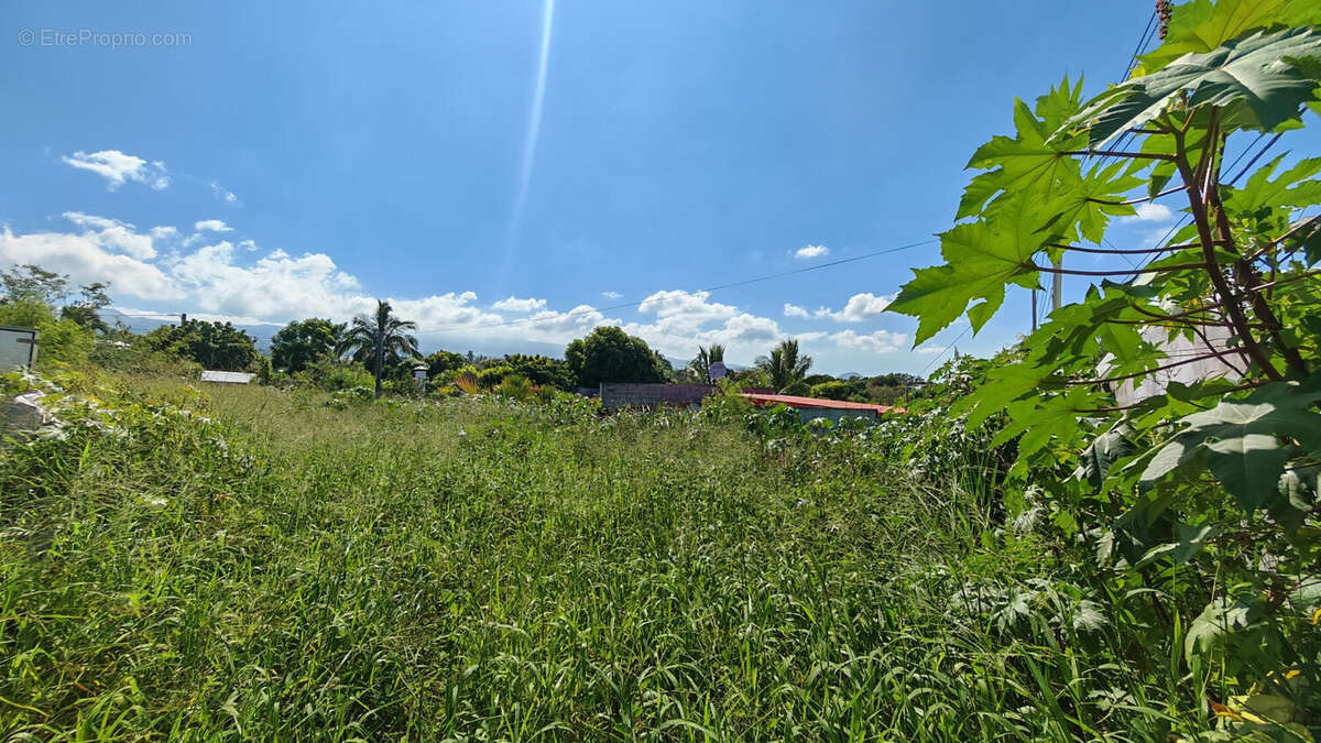 Terrain à LE TAMPON