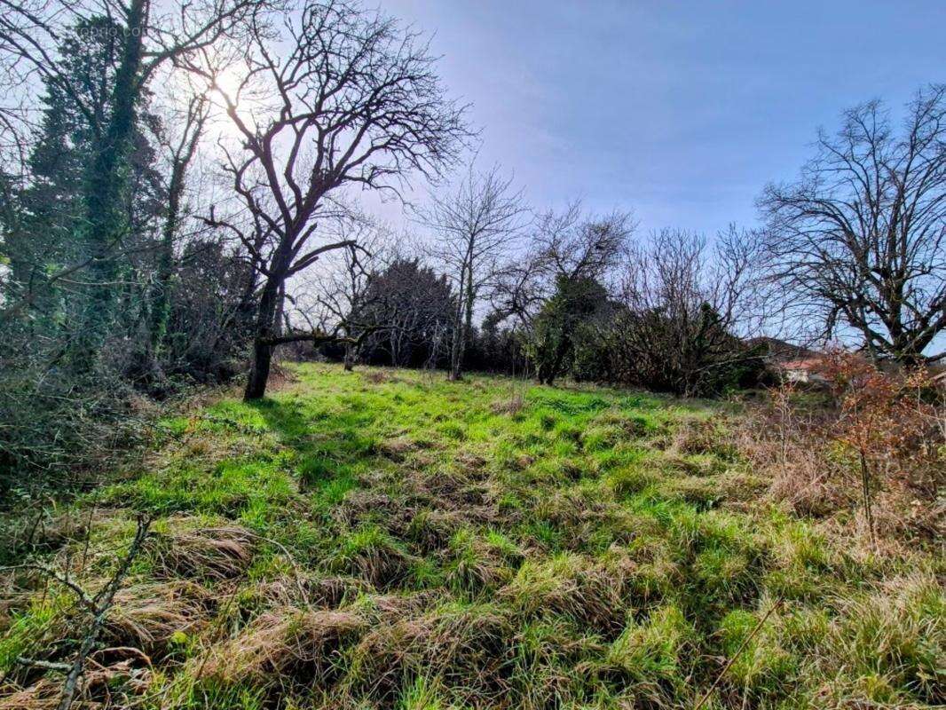 Maison ancienne en pierre à rénover entièrement + jardin arboré de 2200m² en zone Uc, potentiellement constructible - photo 5