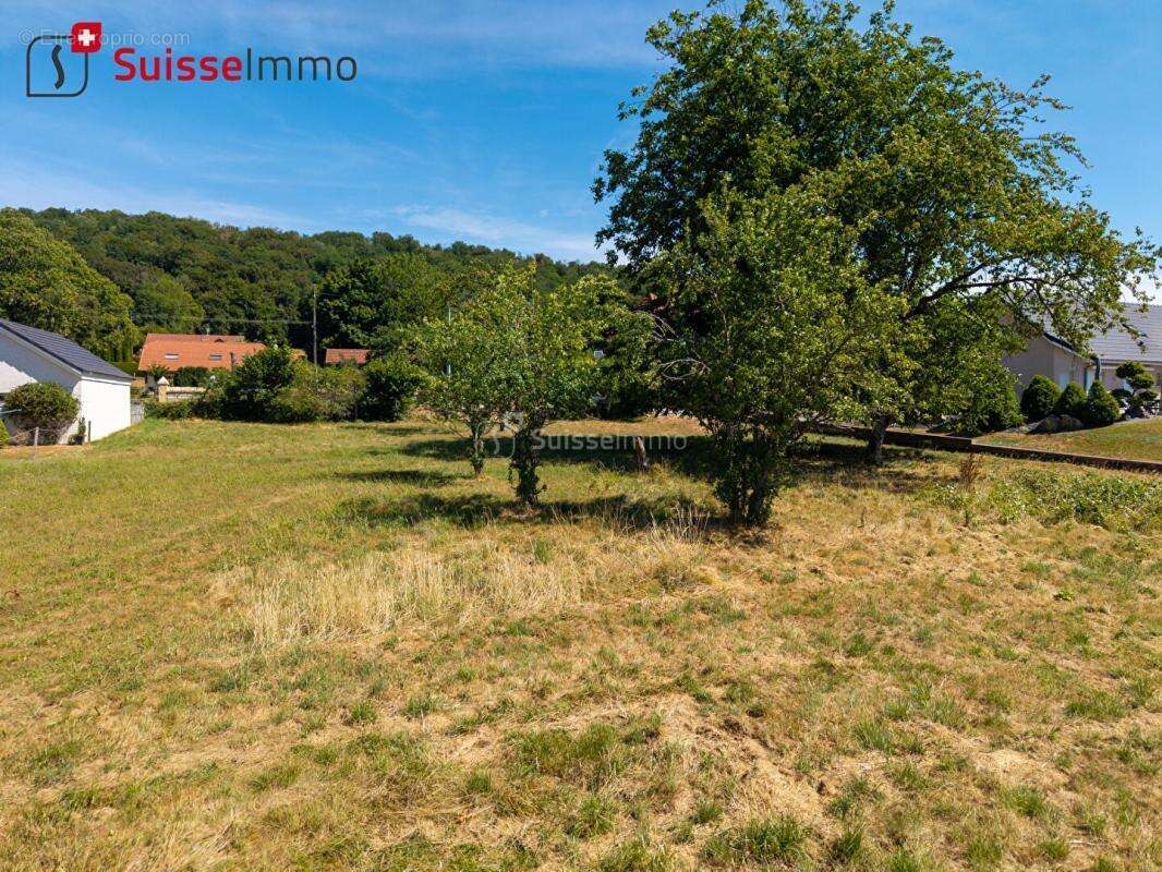 Rare à la vente : parcelle viabilisée de 24 ares sans vis-à-vis - photo 3