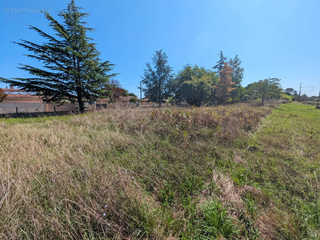 Terrain à LUDON-MEDOC