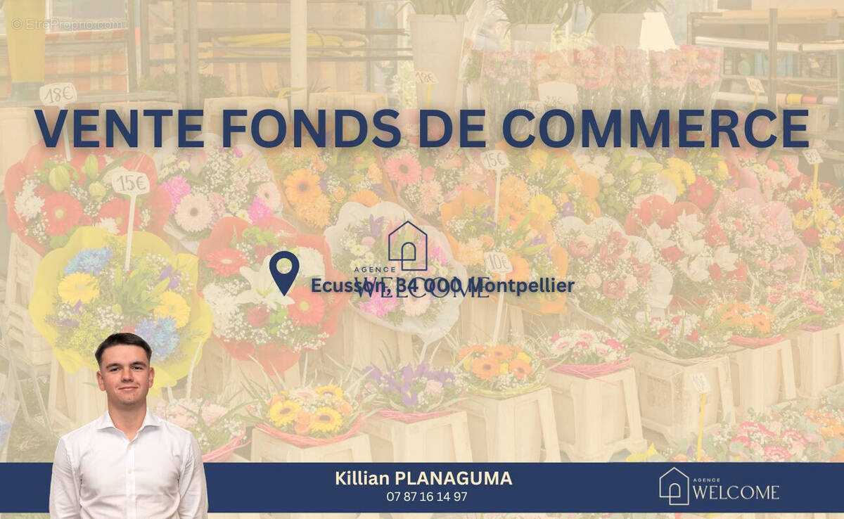 Commerce à MONTPELLIER