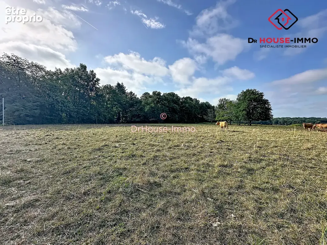 Terrain 1 823 m² à vendre à Agonac (24460) - photo 10