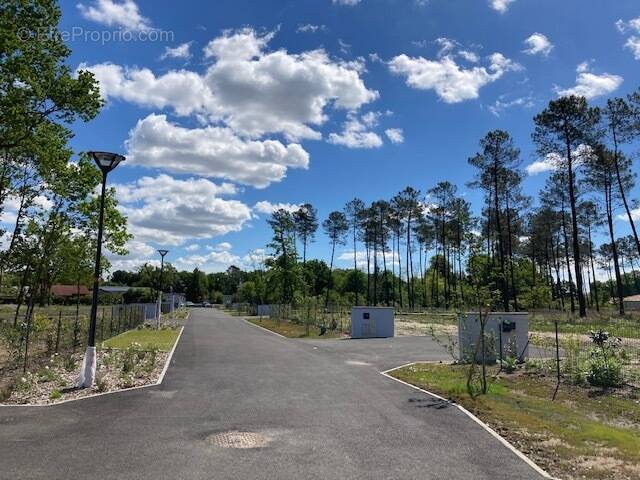 Terrain à SAINT-ANDRE-DE-CUBZAC
