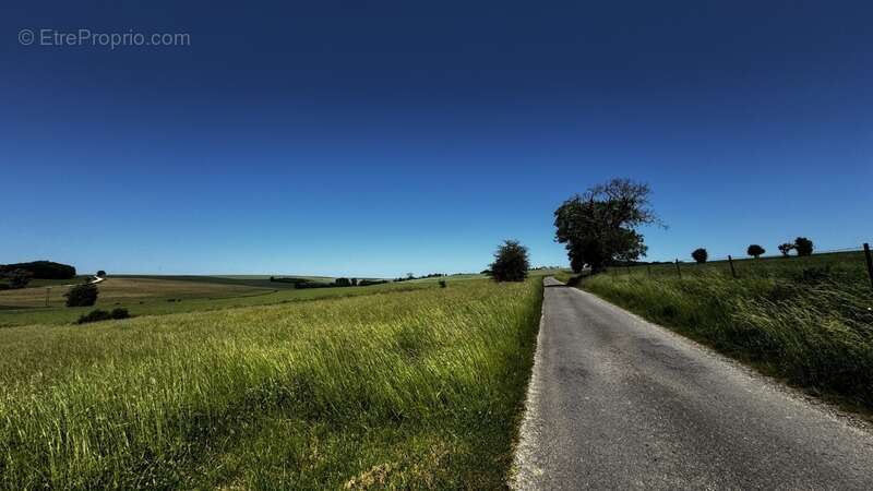 A vendre, Terrain de loisirs de 6 310 m² à Aincreville – Cadre naturel et nombreuses possibilités - photo 5