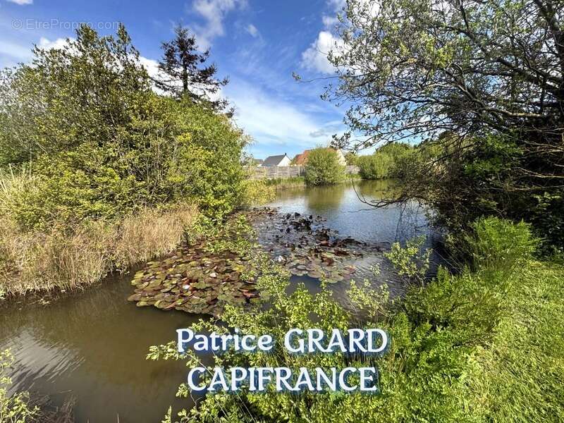 Propriete à vendre 11 pièces et 9 chalets aménagés - photo 4