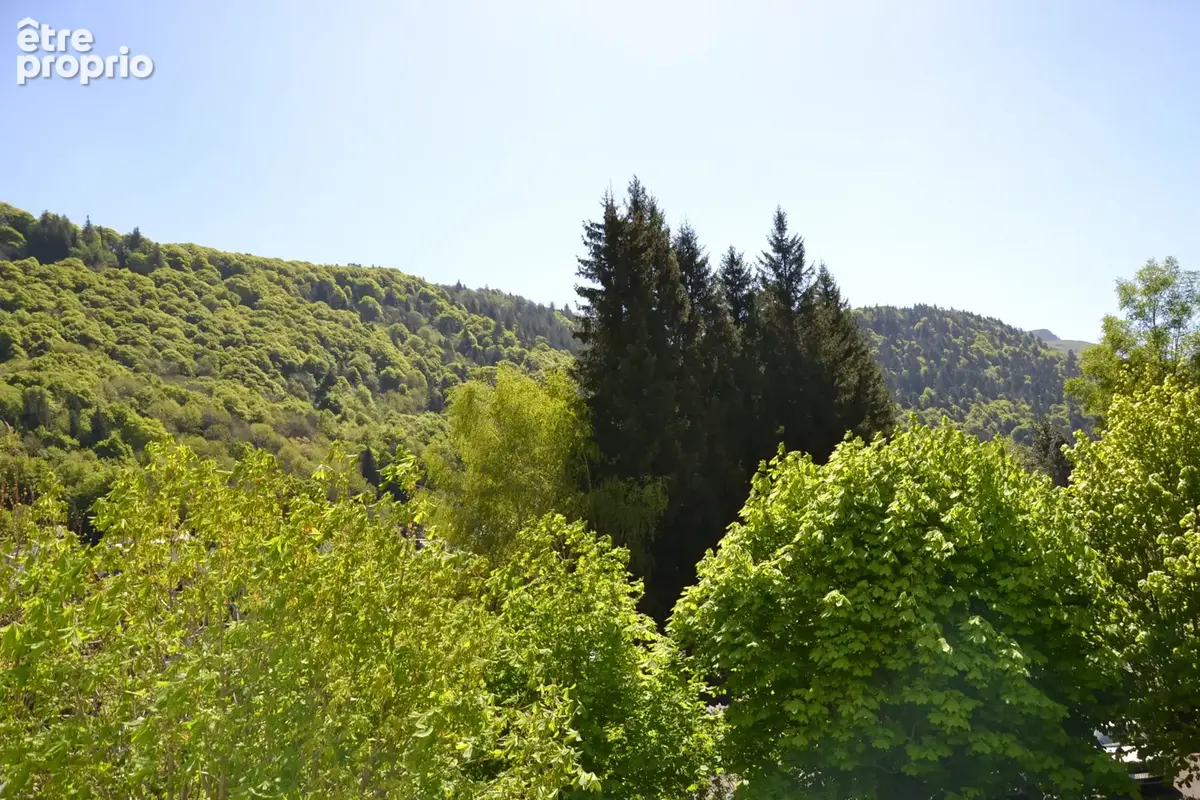 Lumineux T3 de 50m2 avec balcon et belle vue sur les montagnes - photo 7