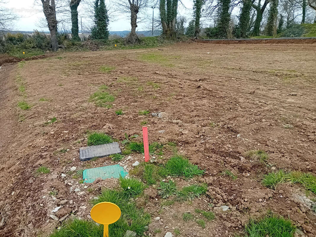 Terrain à SAINT-THOIS