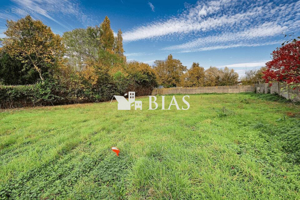 Terrain à CRASVILLE