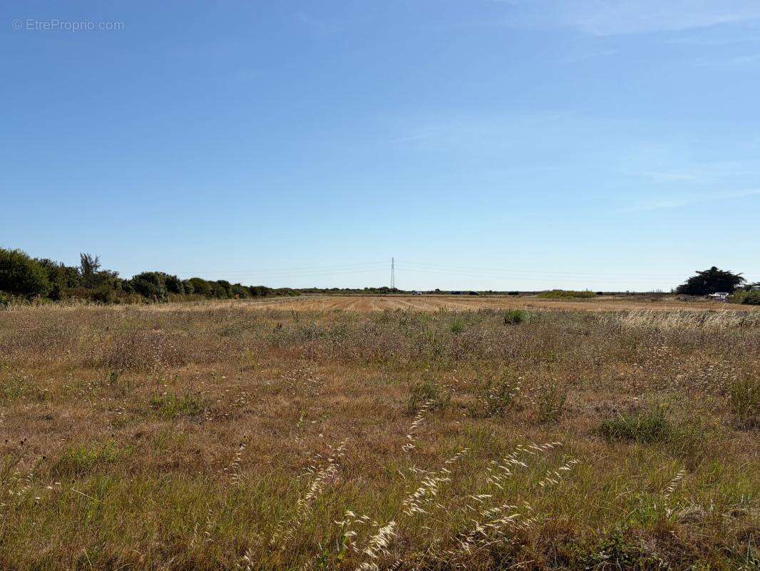 Barbatre (85) - ile de noirmoutier - rarissime terrain a batir 637 m² avec permis de construire accorde - photo 2