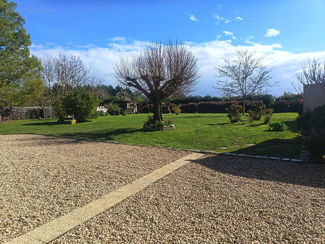 Maison à SELLES-SUR-CHER