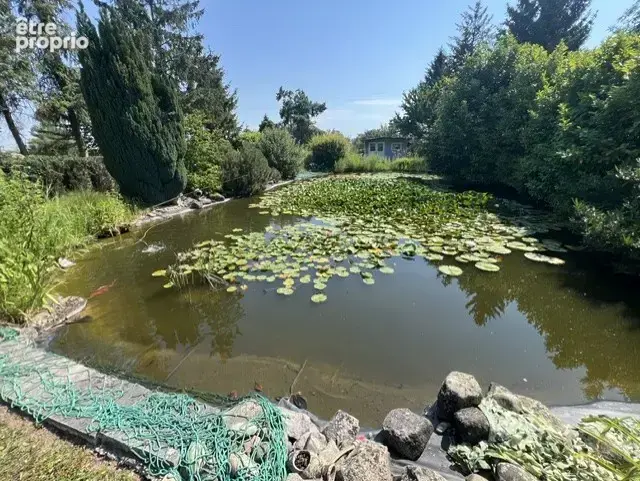 Superbe maison individuelle avec grand terrain et piscine - photo 6