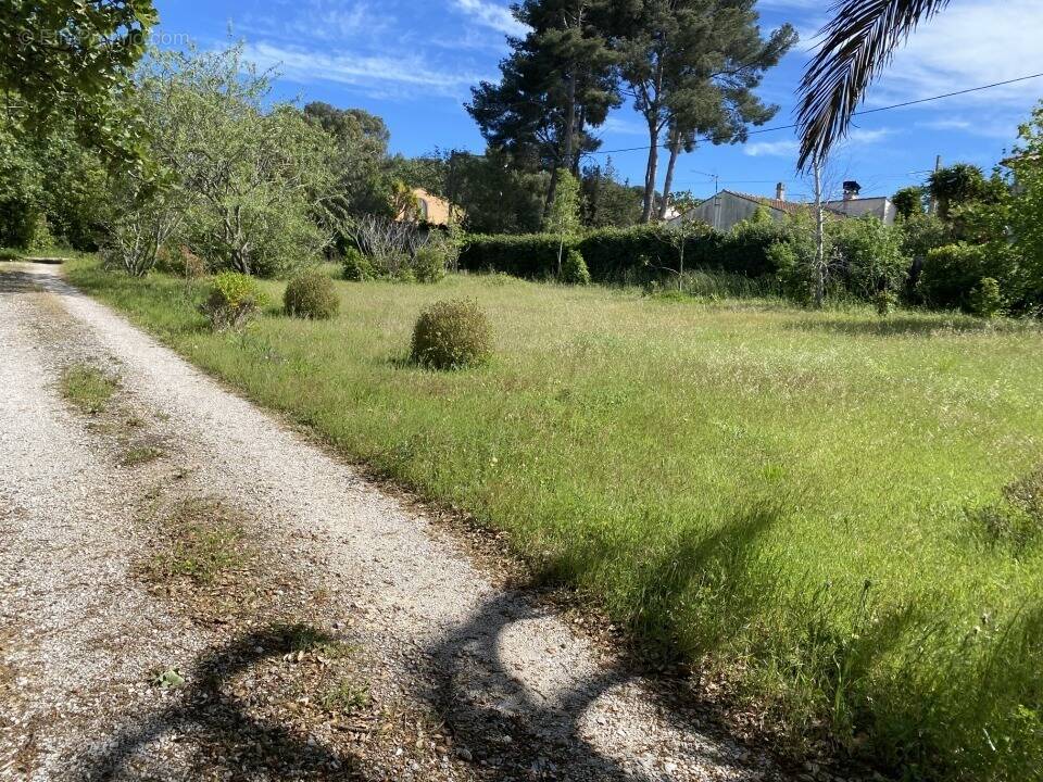 Terrain à PIGNANS